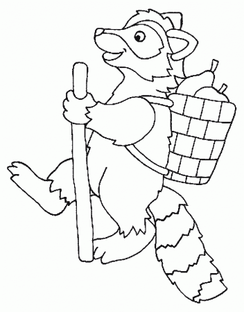 Download raccoon Coloring Pages | Coloring Pages
