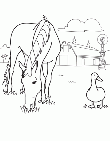 Coloring Book Page Illustrator Animal Coloring Book Artist