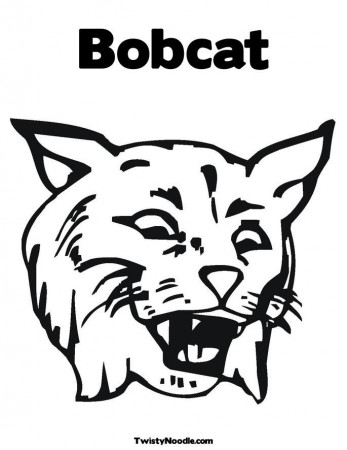 Bobcats Colouring Pages