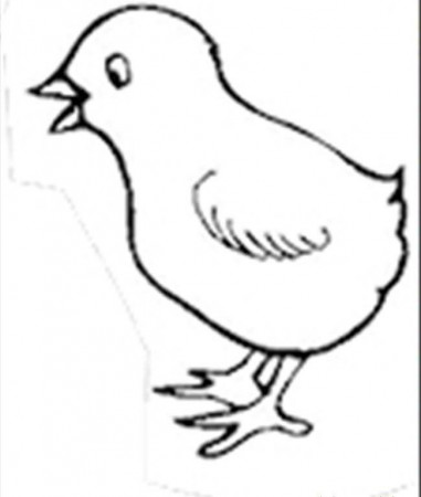 Printable Chick Coloring Pages - Kids Colouring Pages