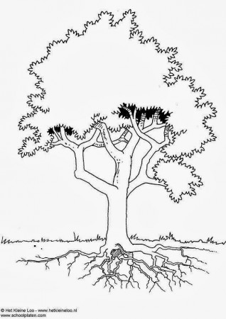 Coloring picture of a tree