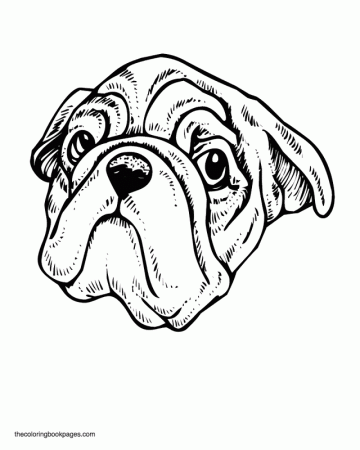 Pug face - Dog coloring book pages