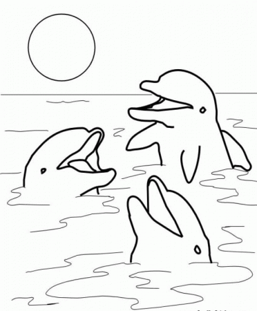 Free Coloring Pages Of Dolphins To the Print