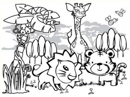 Rainforest Coloring Pages for Kids- Free Coloring Sheets to print
