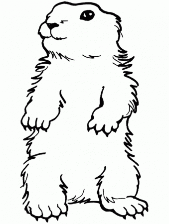 Groundhog Day Coloring Pages - Groundhog Day Cartoon Coloring 