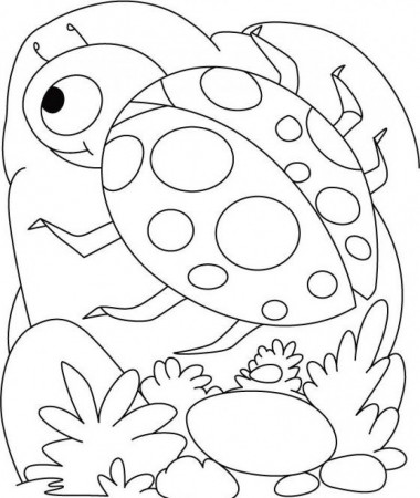 Ladybug Coloring Pages Printable - Kids Colouring Pages