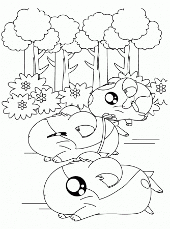 All Hamsters on a Tree Coloring Page | Kids Coloring Page