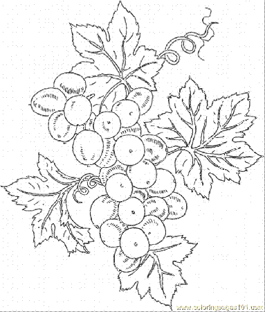 Coloring Pages Grape 10 (Food & Fruits > Grapes) - free printable 