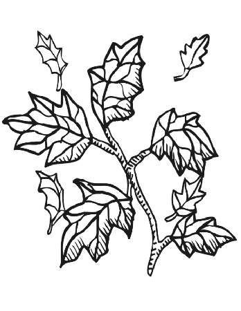 hand coloring pages page site