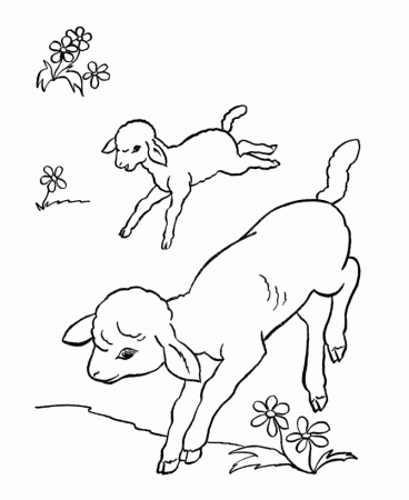 Farm Animal Coloring Pages | Running lamb sheep Coloring Page and 