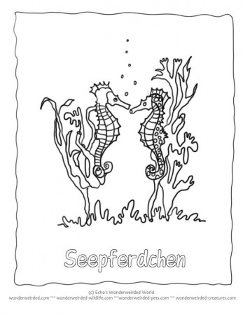 Seahorse Coloring Pages | Coloring Pages