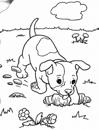 Puppy Coloring Pages | kids world