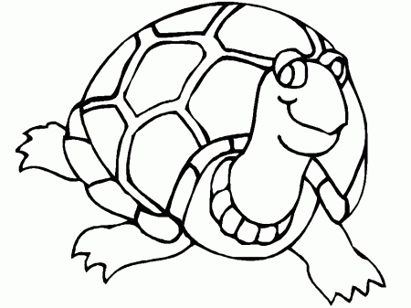Free Baby Turtle Coloring Pages Print | download free printable 