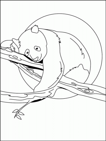 Panda Coloring Book - Android Apps on Google Play