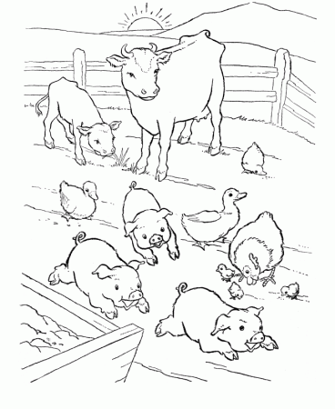 Farm Animals Coloring Page Pages Car Pictures