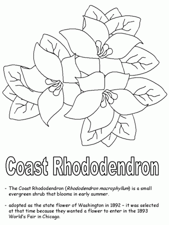 Coast Rhododendron coloring page