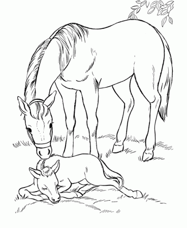 Horses Coloring Pages - Free Coloring Pages For KidsFree Coloring 
