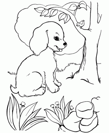 Puppy Eyes Dog Coloring Page | Kids Coloring Page