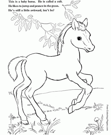Coloring book pages of horses - 014