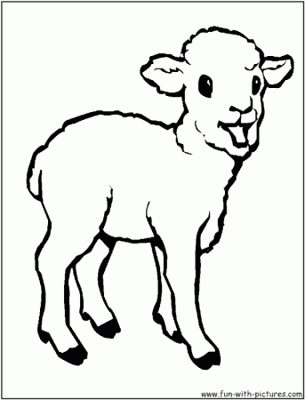Coloring Pages Of Baby Animals