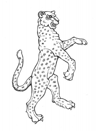 Leopard by David Burkart - Leopard Drawing - Leopard Fine Art 