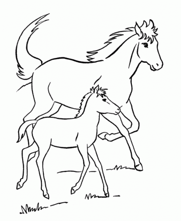horses printable coloring pages | Printable coloring pages