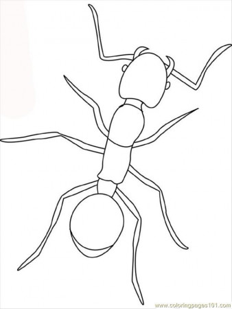 Download Free Printable Ant Coloring Pages For Kids Online