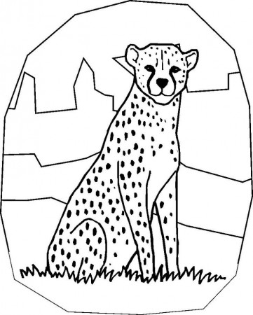 Download Free Cheetah Coloring Pages For Kids Or Print Free 
