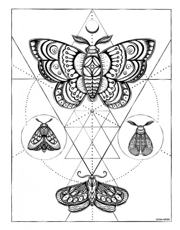 Sacred Animals Coloring book — Lydia Hess