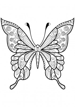 Butterfly beautiful patterns - 4 - Butterflies & insects Adult Coloring  Pages