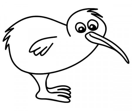 Pin on Kiwi Bird Coloring Pages