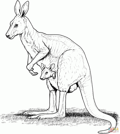 Australia coloring pages | Free Coloring Pages