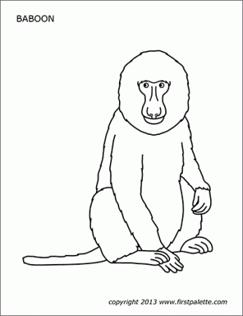 Baboon | Free Printable Templates & Coloring Pages | FirstPalette.com
