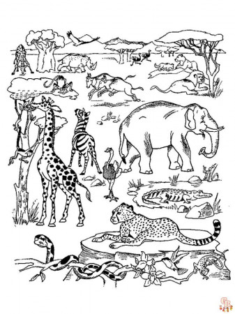 African Animals Coloring Pages - Free Printables for Kids