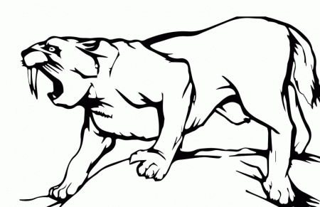 Saber Tooth Coloring Pages