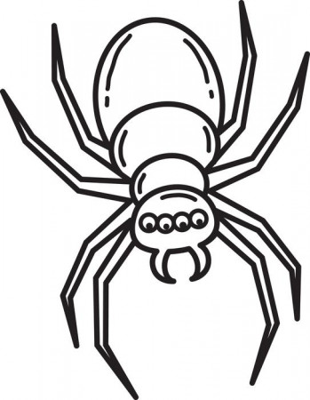 Spider Coloring Page