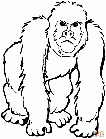 Gorillas coloring pages | Free Coloring Pages