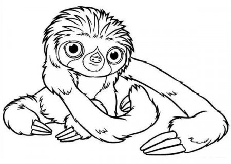 Sloth, Baby Sloth Coloring Page: Baby Sloth Coloring PageFull Size ...