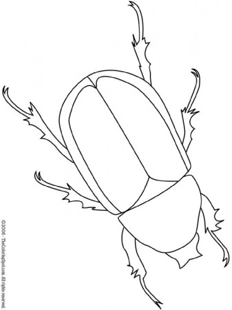 Beetle Coloring Page | Audio Stories for Kids | Free Coloring Pages |  Colouring Printables