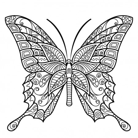 Pin on Butterfly Coloring Pages