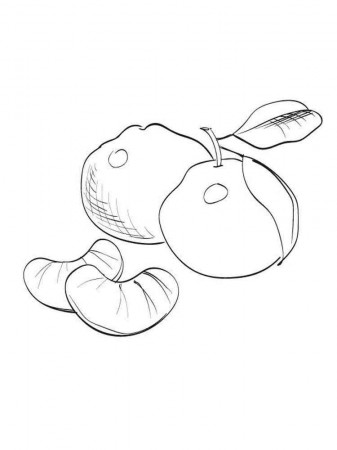 Mandarin (Tangerine) coloring pages. Download and print Mandarin(Tangerine) coloring  pages.