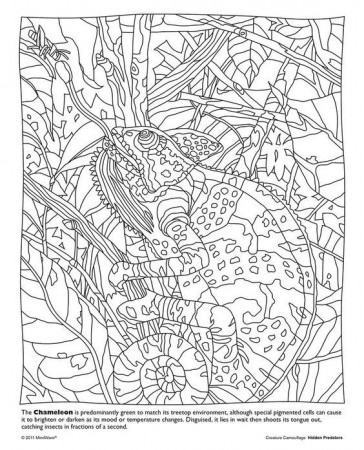 mindware coloring pages animals - Google Search | Coloring pages ...