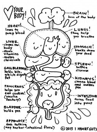 I Heart Guts | Anatomy coloring book, Child life specialist, Anatomy and  physiology