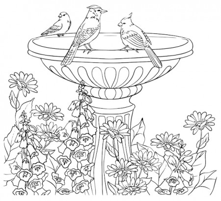 Premium Vector | Fountain birds flowers coloring book hand vector