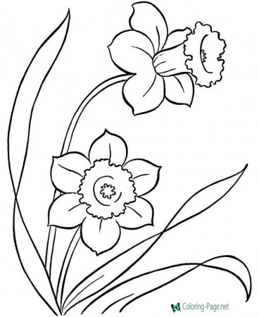 Spring Coloring Pages