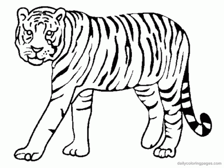 Free Printable Coloring Sheets Of Tigers - High Quality Coloring Pages