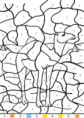 ANIMAL Color by Number coloring pages - Easter Bunny
