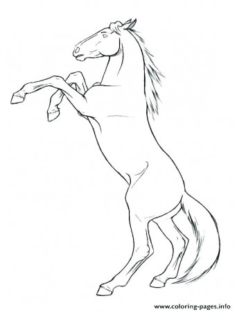 Stallion Horse Coloring Pages | www.imghulk.com