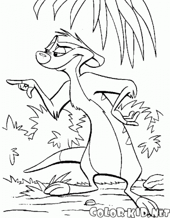 Coloring page - Philosopher-meerkat