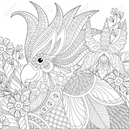 Exotic Zentangle Cockatoo Parrot For Adult Anti Stress Coloring Pages Book  Bird Head With Tropical Sheet – Approachingtheelephant